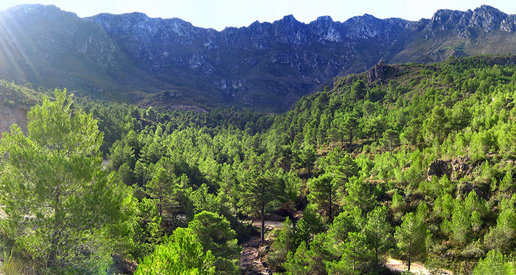 Ruta-por-la-Safor-gandia