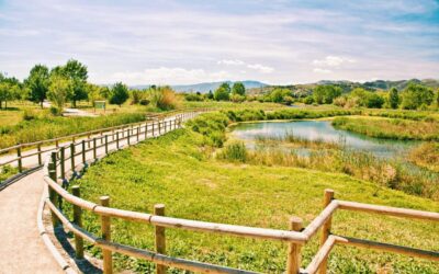 RUTA GANDIA – MARJAL: Un Paseo Tranquilo Para Toda La Familia