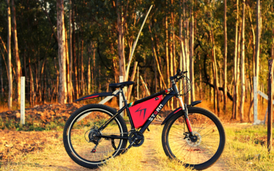 12 Cosas Que Debes Saber Antes De Comprar Una E-Bike