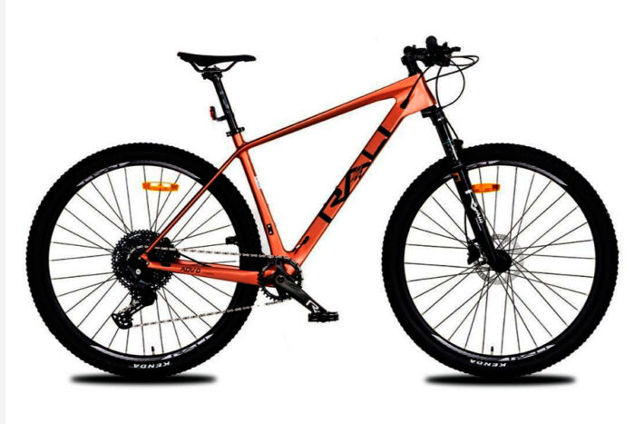 Rali 29 Carbono Talla M (alquiler) rental)