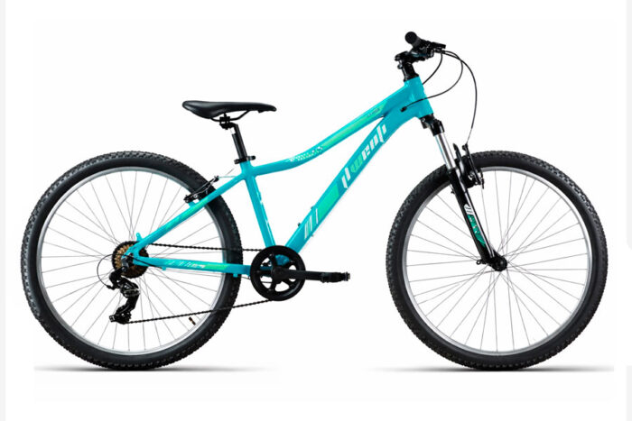 Bicicleta Wenti r26